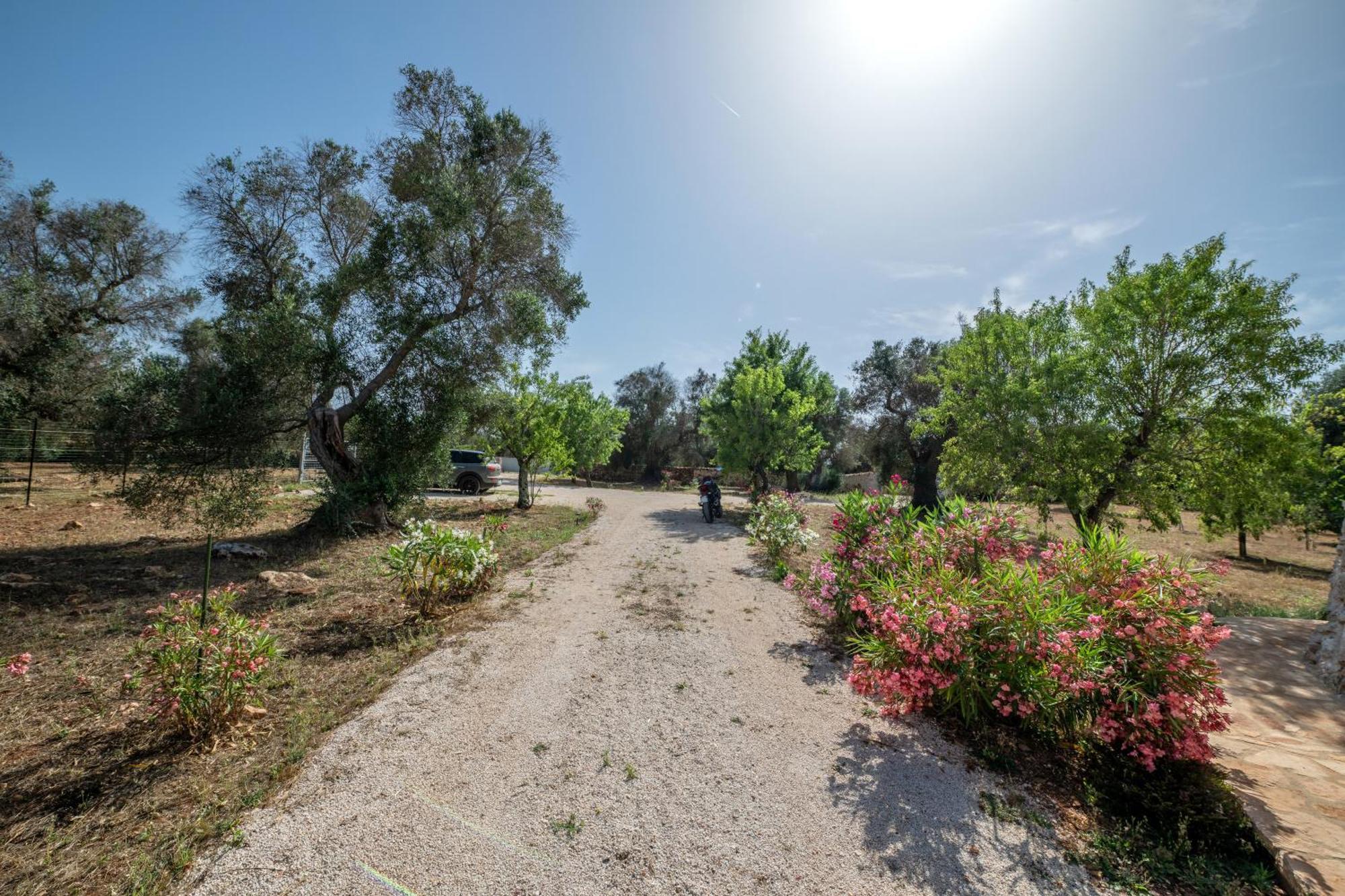 Il Trullo Di Mariangela Vila Ceglie Messapica Exterior foto